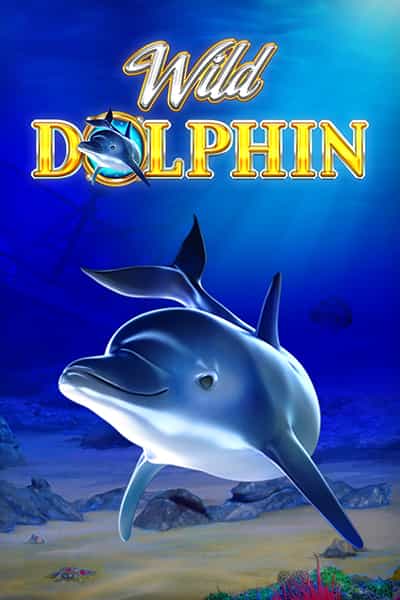 Wild Dolphin
